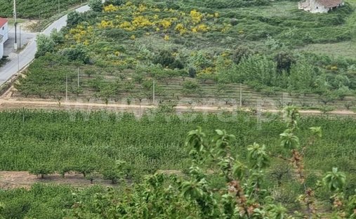 Azienda agricola a Uniao do Grande Fundao, Distretto di Castelo Branco, Portogallo 1
