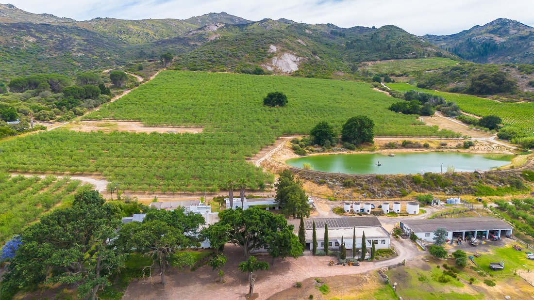 Farm Ranch in Paarl, Groenvlei, Western Cape 4 - 17491255