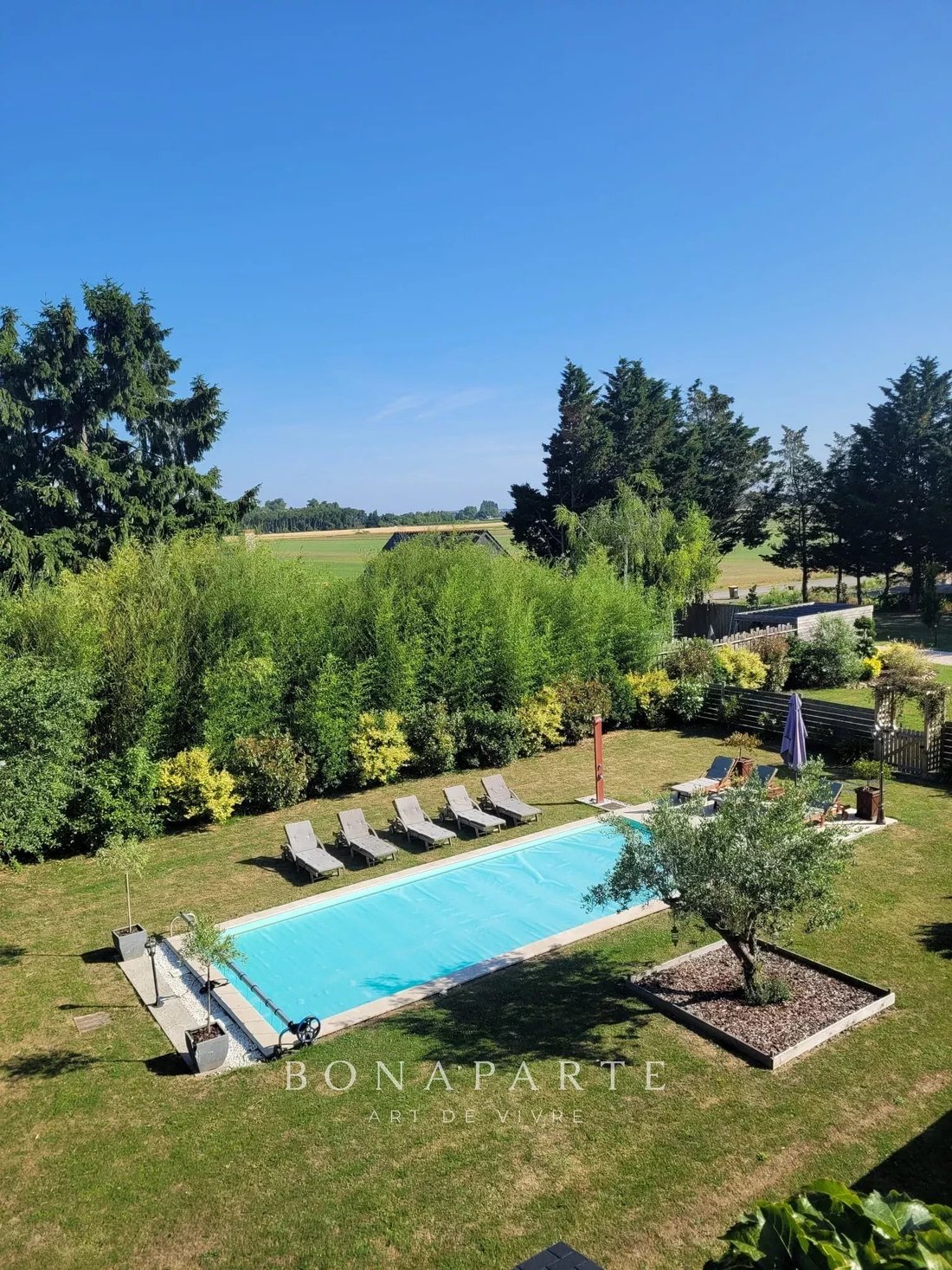 Estate in Les Rosiers-sur-Loire, Gennes-Val-de-Loire, France 3 - 17472075
