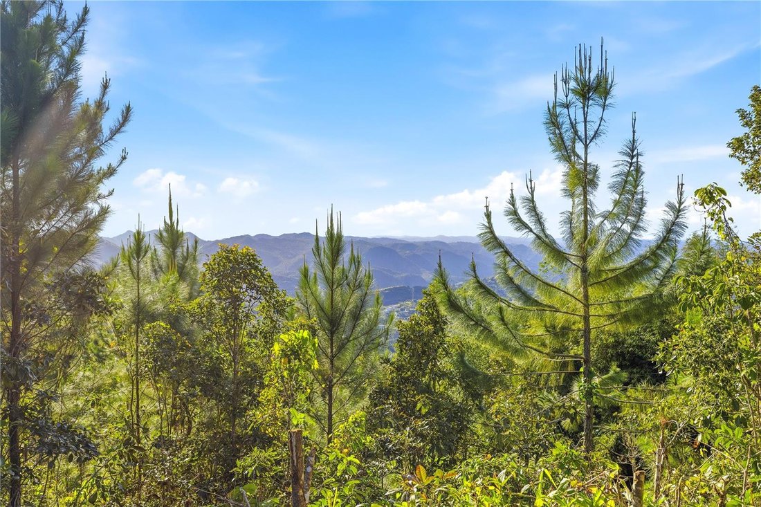 House in Cayey, Cayey, Puerto Rico 4 - 17491476