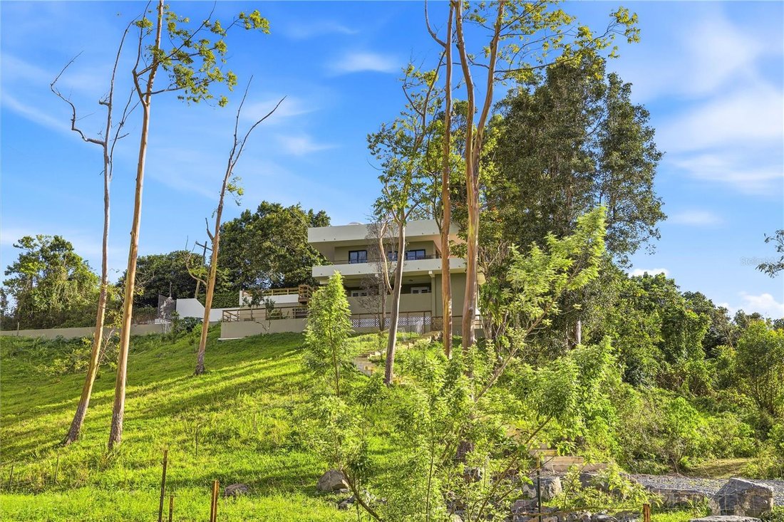 House in Cayey, Cayey, Puerto Rico 5 - 17491476