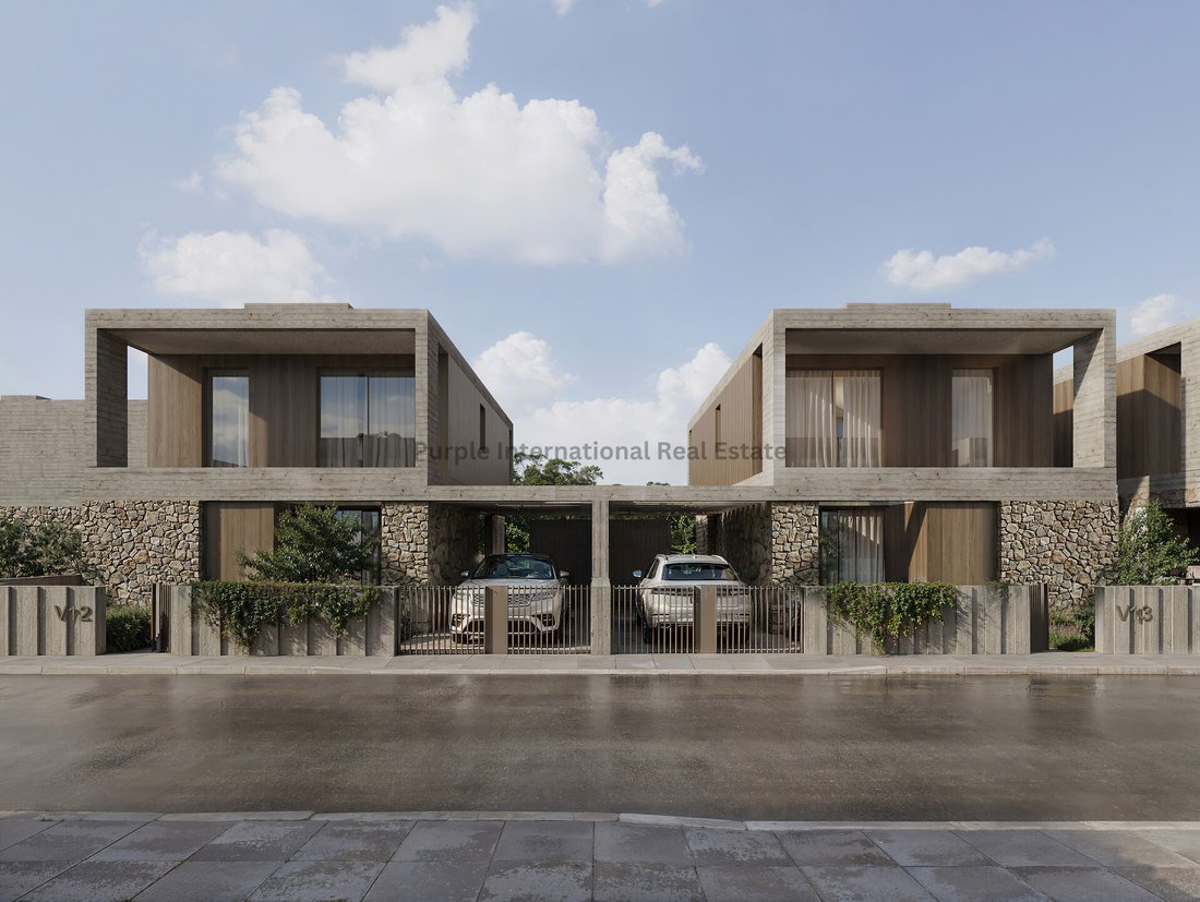 Villa in Yeroskipou, Paphos, Cyprus 3 - 17491799