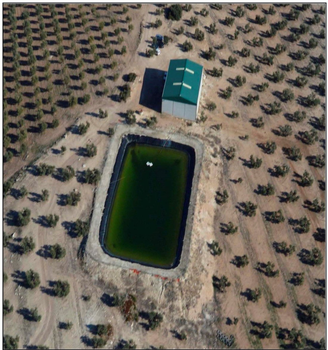 Farm Ranch in Osuna, Andalusia, Spain 4 - 17492033