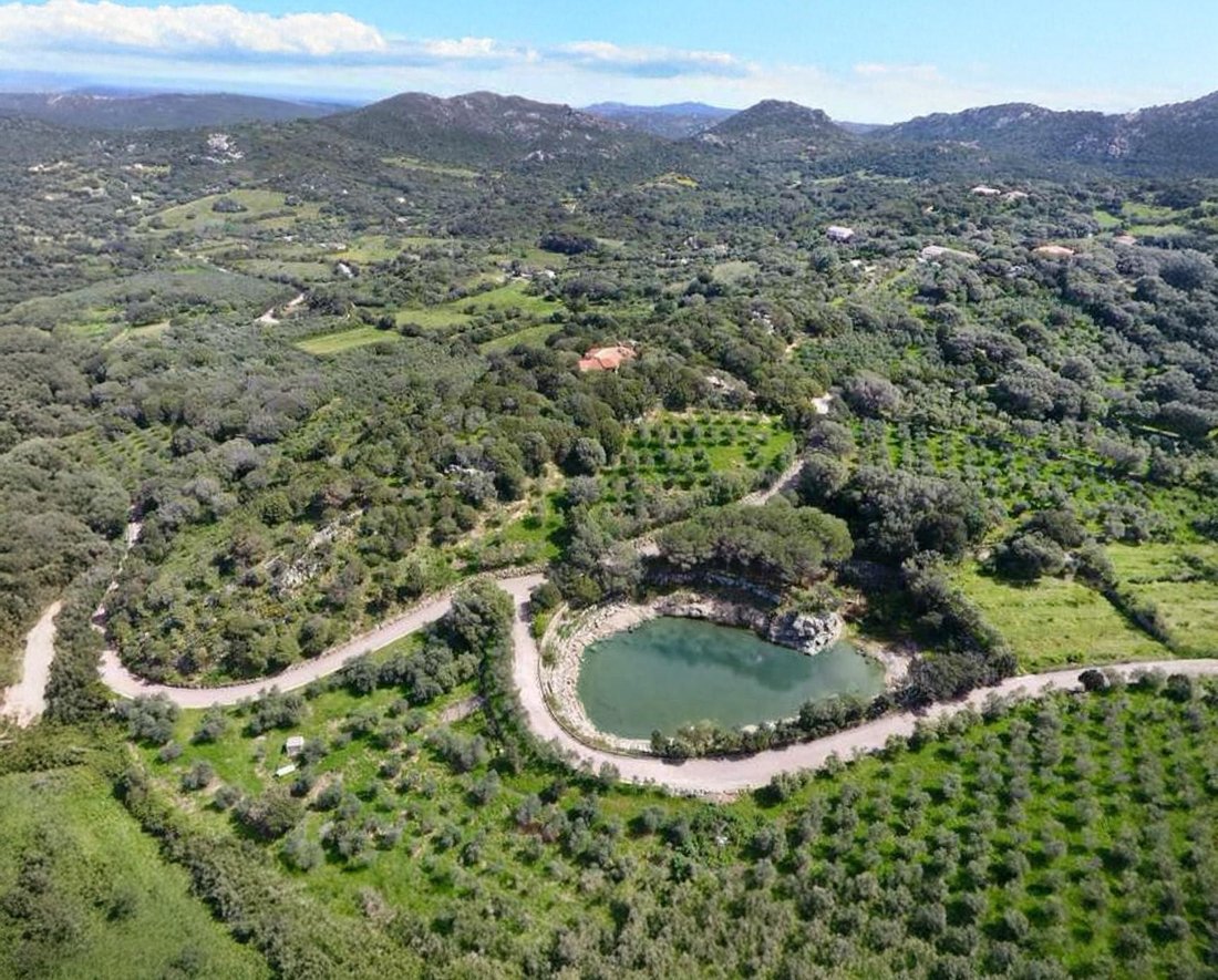 Farm Ranch in Palau, Sardinia, Italy 1 - 17429903
