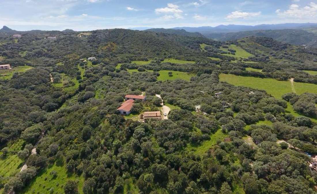Farm Ranch in Palau, Sardinia, Italy 2 - 17429903