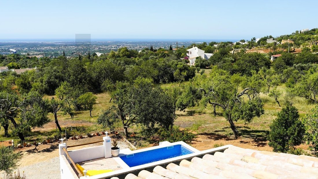 House in Santa Barbara de Nexe, Algarve, Portugal 4 - 17493499