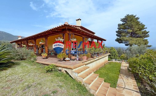 House in Dirfyon - Messapion, Thessaly and Central Greece, Greece 1