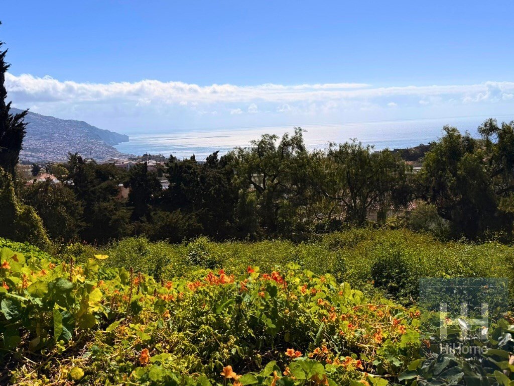 Land in Sao Martinho, Madeira, Portugal 4 - 17494850
