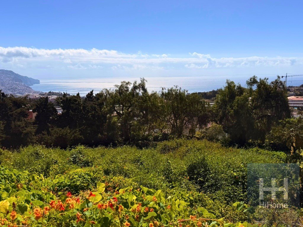 Land in Sao Martinho, Madeira, Portugal 1 - 17494850