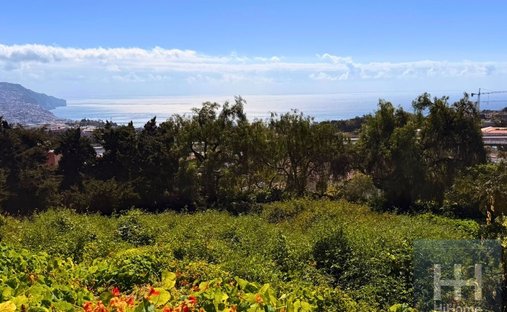 Land in São Martinho, Autonome Region Madeira, Portugal 1
