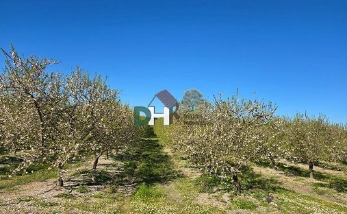 Terreno en Cáceres, Extremadura, España 1