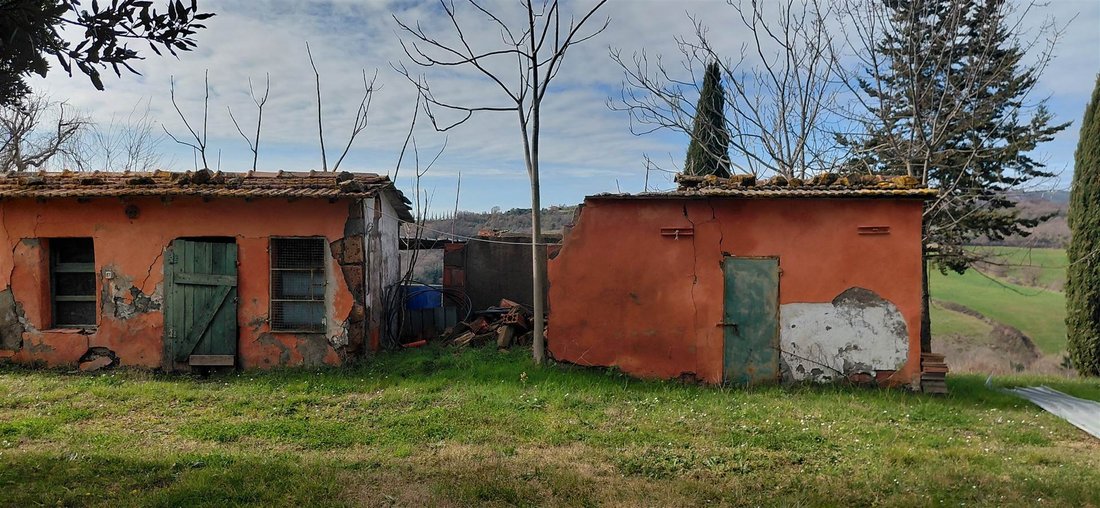 Farm Ranch in Scansano, Tuscany, Italy 5 - 17497597