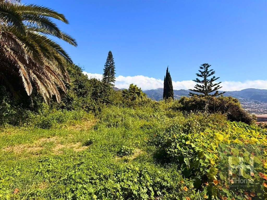 Land in Sao Martinho, Madeira, Portugal 3 - 17494850