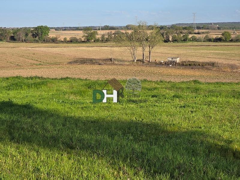 Land in Cáceres, Extremadura, Spain 2 - 17496296