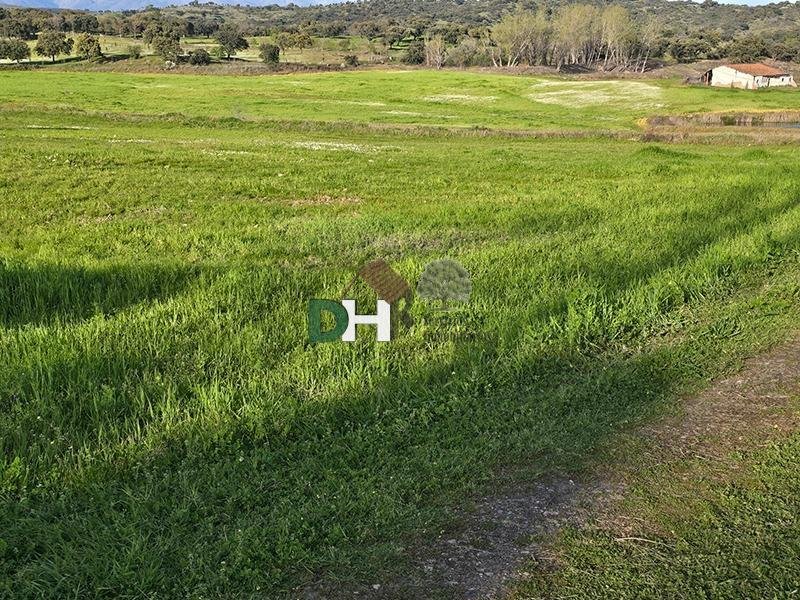 Land in Cáceres, Extremadura, Spain 4 - 17496296