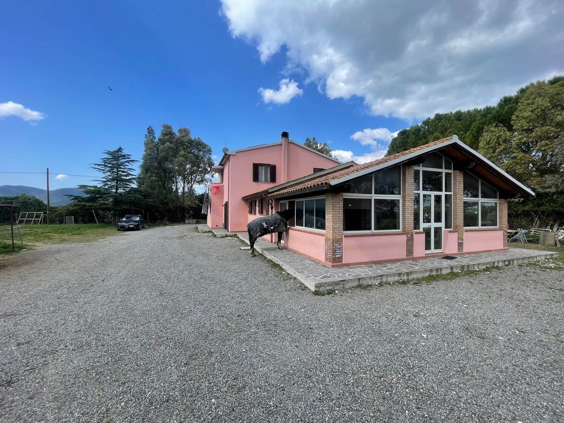 Braccagni, Grosseto, Tuscany 2 - 17497590