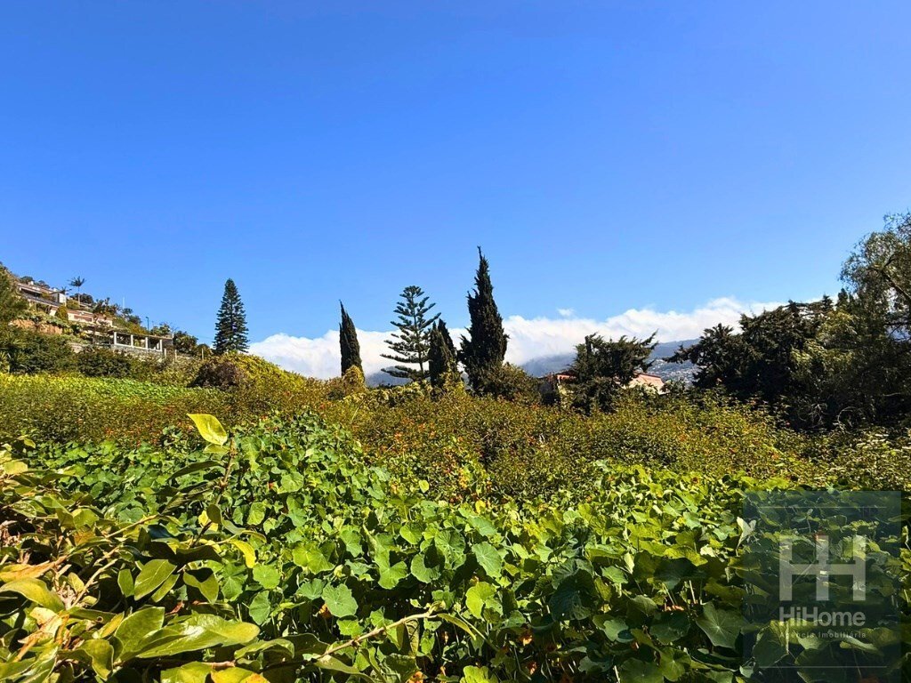 Land in Sao Martinho, Madeira, Portugal 5 - 17494850