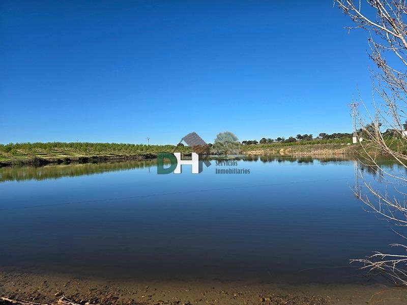 Land in Cáceres, Extremadura, Spain 2 - 17496433