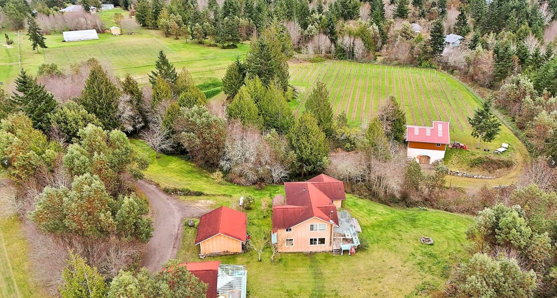 Farm Ranch in Port Townsend, Washington, United States 1 - 16291243