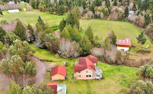 Azienda agricola a Port Townsend, Washington, Stati Uniti 1