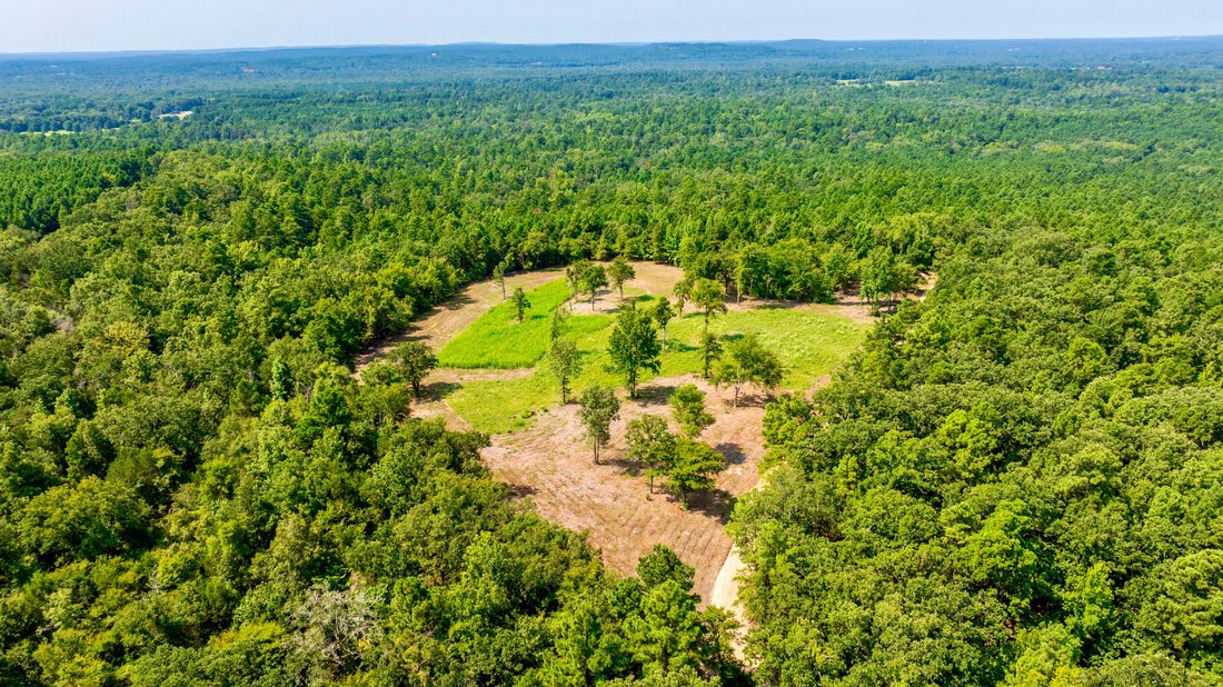 Farm Ranch in Chandler, Texas, United States 5 - 17495143