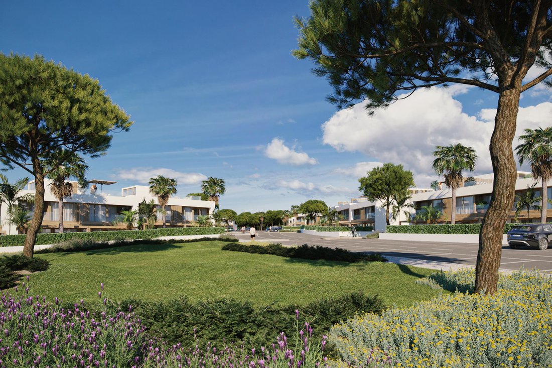 Apartment in Porto Covo, Setubal, Portugal 4 - 17494951