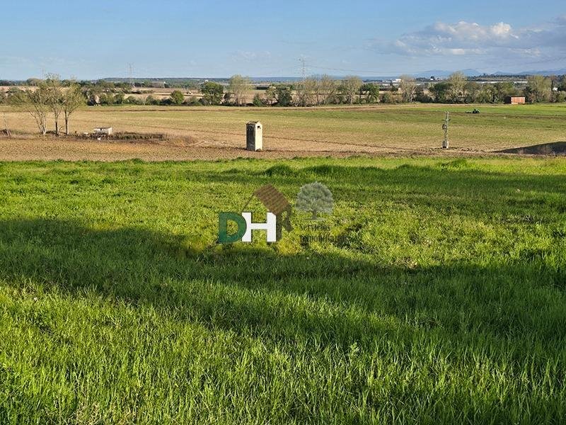 Land in Cáceres, Extremadura, Spain 1 - 17496296