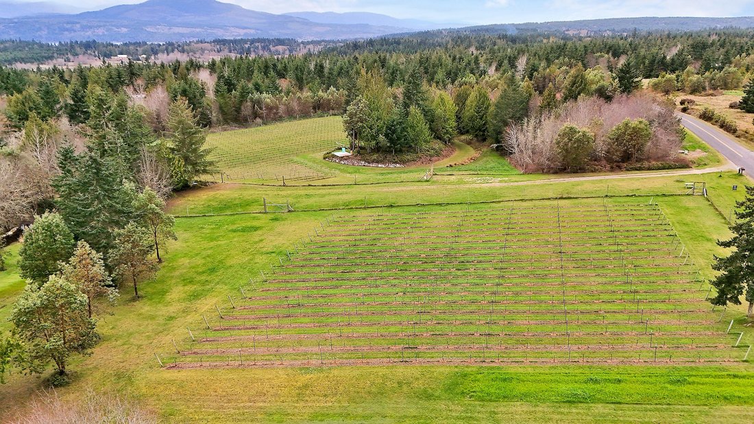Farm Ranch in Port Townsend, Washington, United States 4 - 16291243