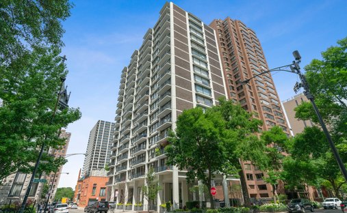 Condo in Chicago, Illinois, United States 1