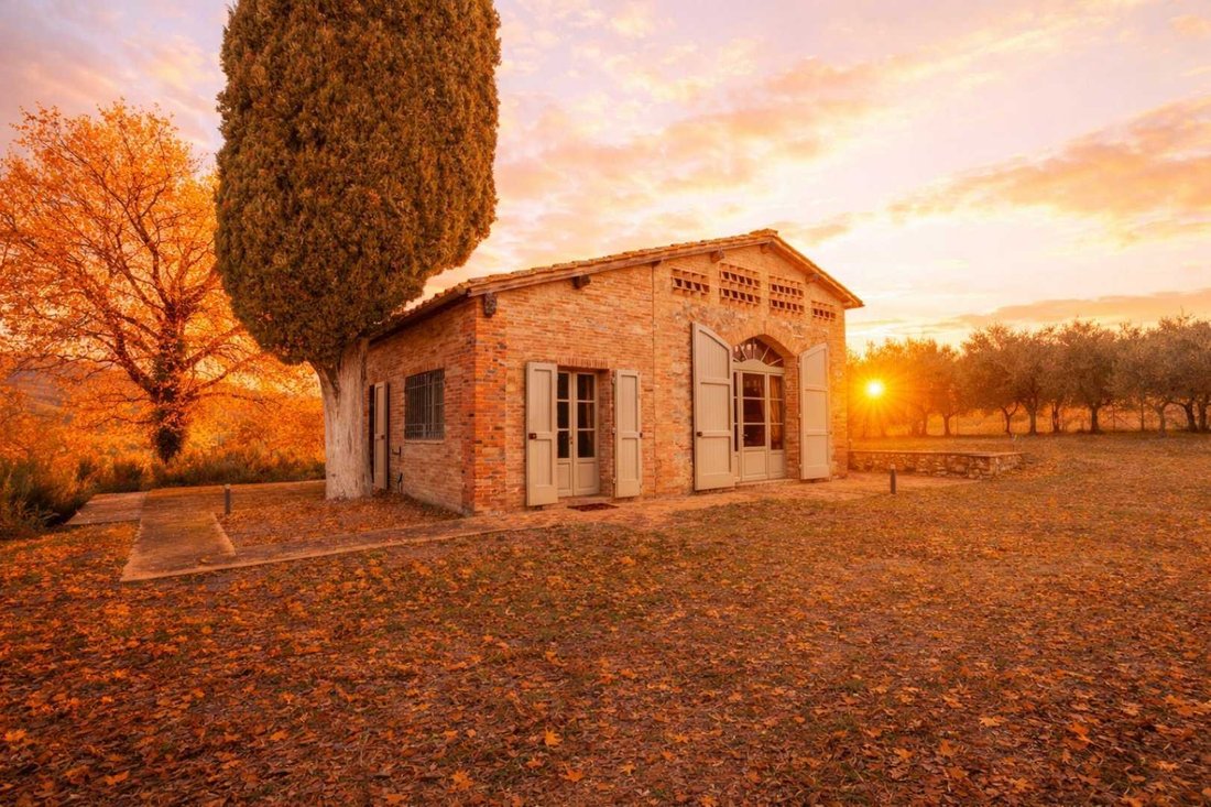 Villa in Montalcino, Tuscany, Italy 3 - 17495984