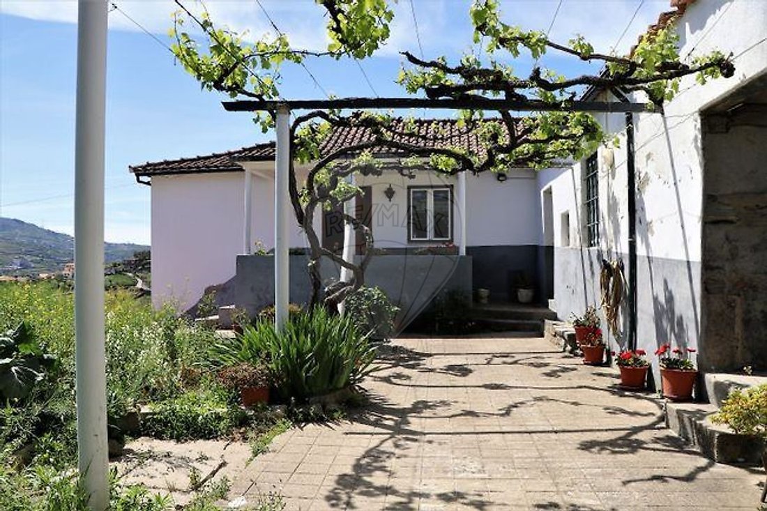 Finca in Fontelas, Vila Real District, Portugal 3 - 17494653