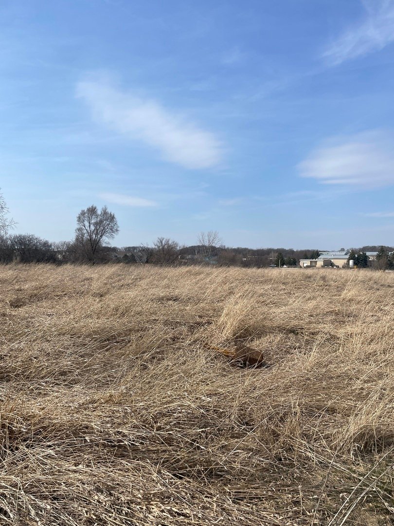 Land in Lindenhurst, Illinois, United States 3 - 17496664