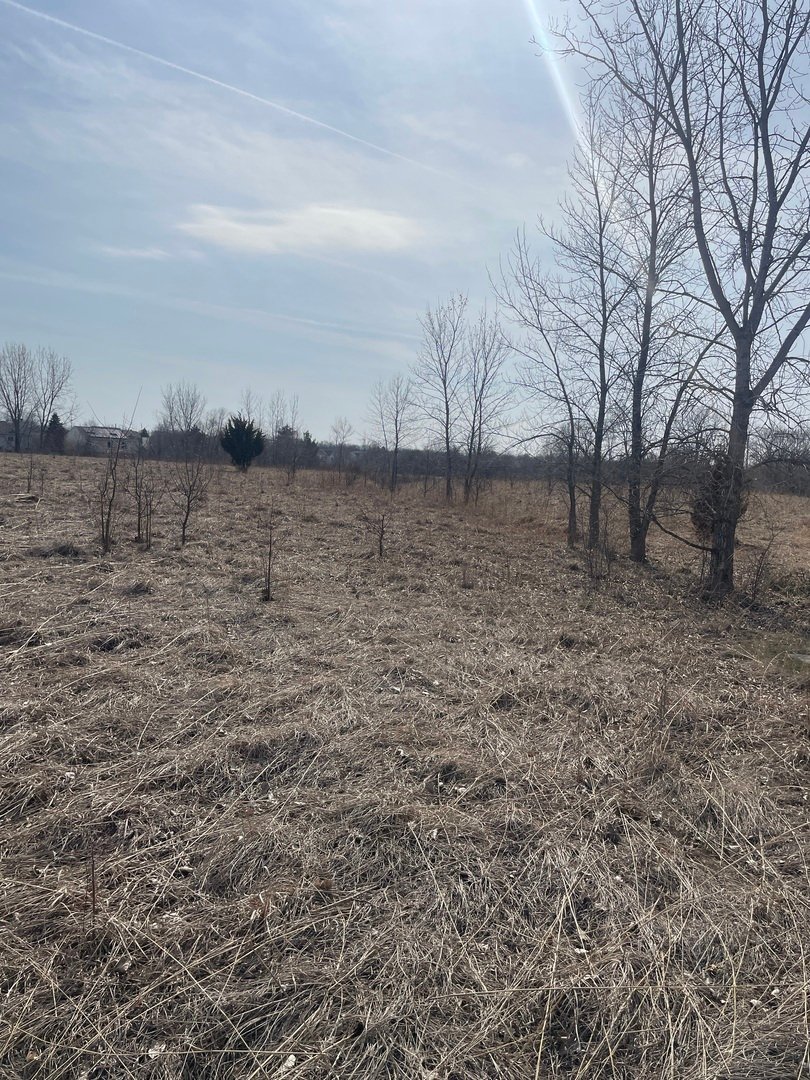 Land in Lindenhurst, Illinois, United States 5 - 17496664