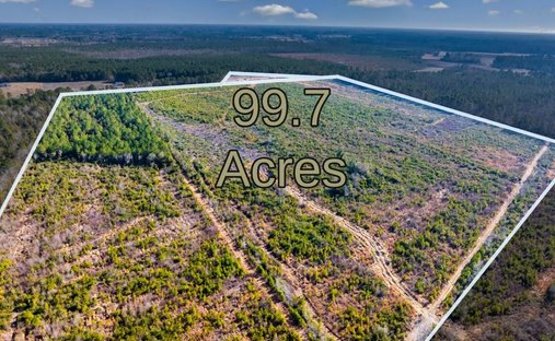Land in Nichols, South Carolina, United States 1