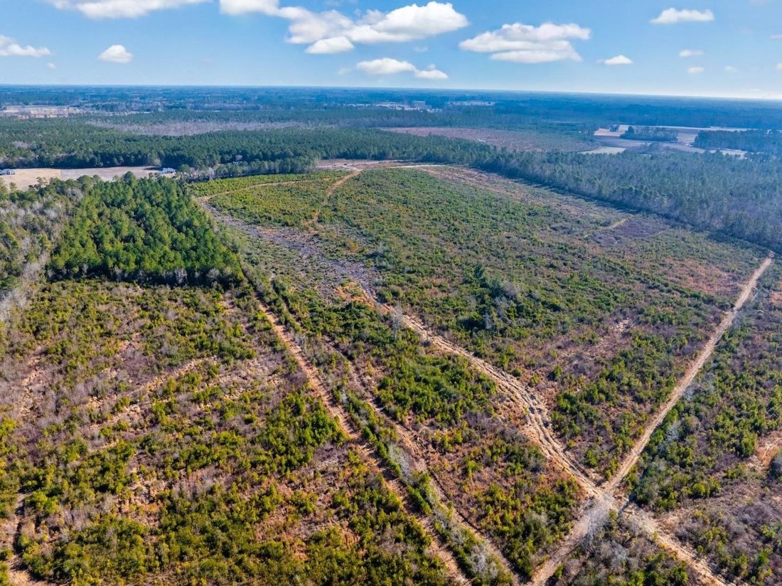 Land in Nichols, South Carolina, United States 5 - 17495443