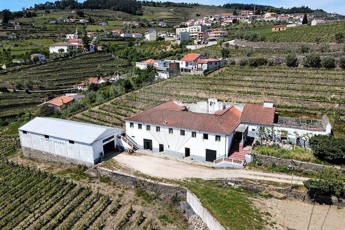 Finca in Fontelas, Vila Real District, Portugal 5 - 17494653