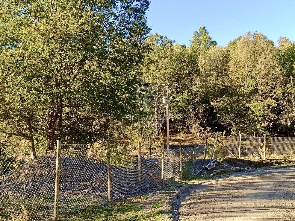 Estate in Angol, Araucania, Chile 4 - 17495042