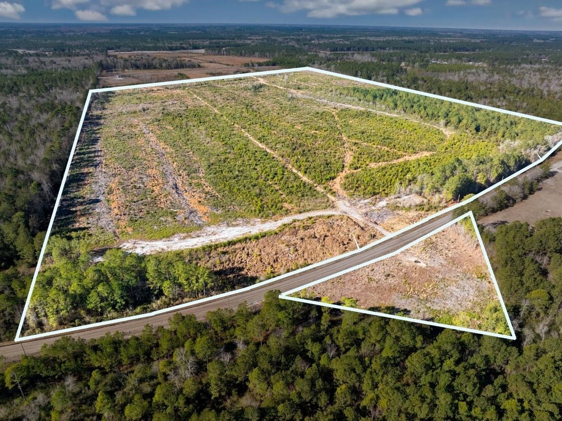 Land in Nichols, South Carolina, United States 2 - 17495443