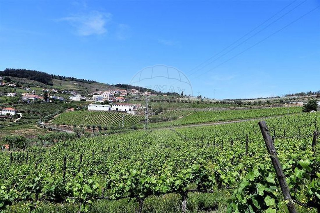 Finca in Fontelas, Vila Real District, Portugal 5 - 17494653