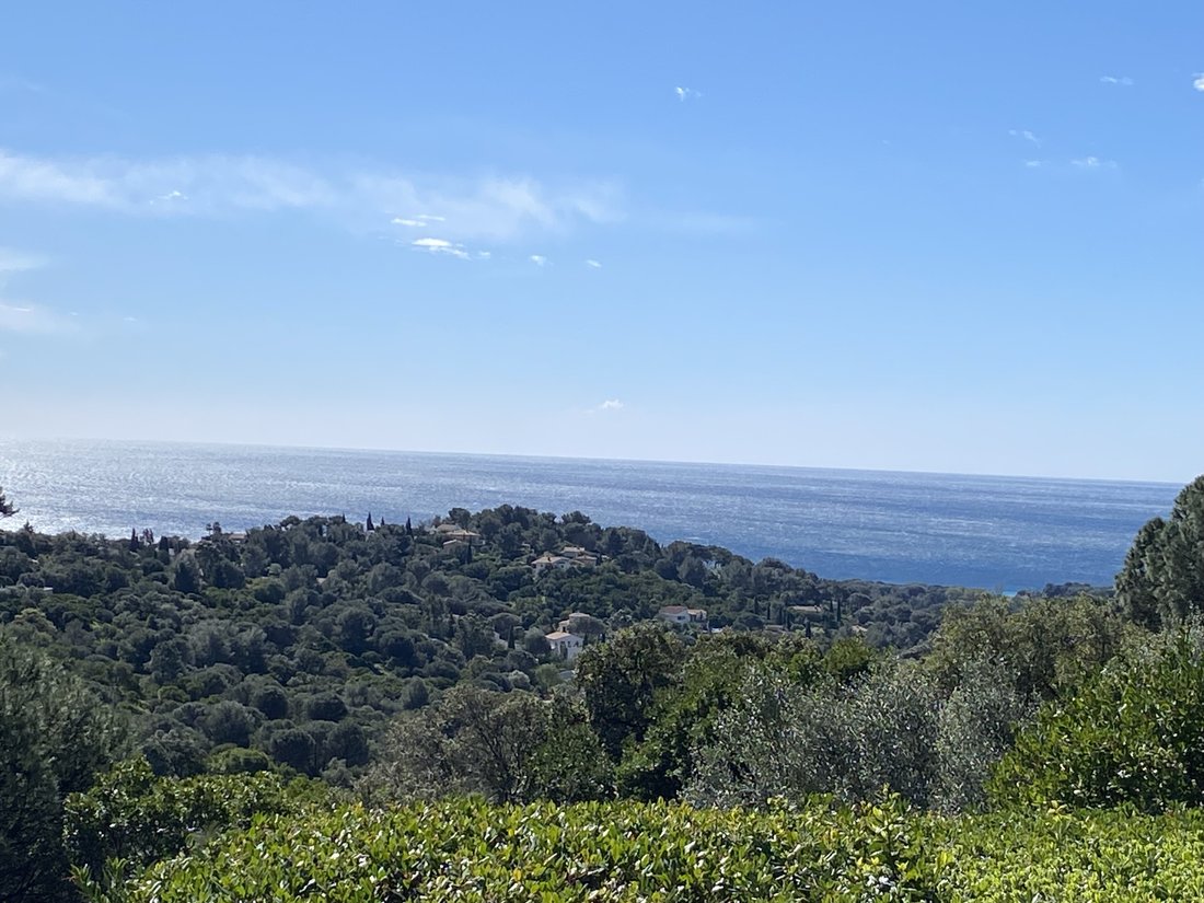 House in La Croix-Valmer, Provence-Alpes-Côte d'Azur, France 1 - 17429402