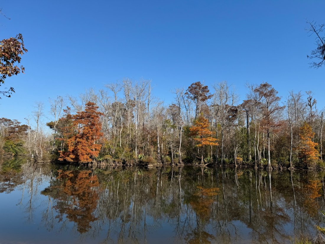 Land in Cantonment, Florida, United States 2 - 17495187