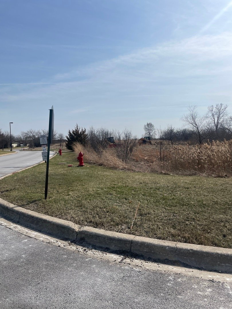 Land in Lindenhurst, Illinois, United States 1 - 17496664