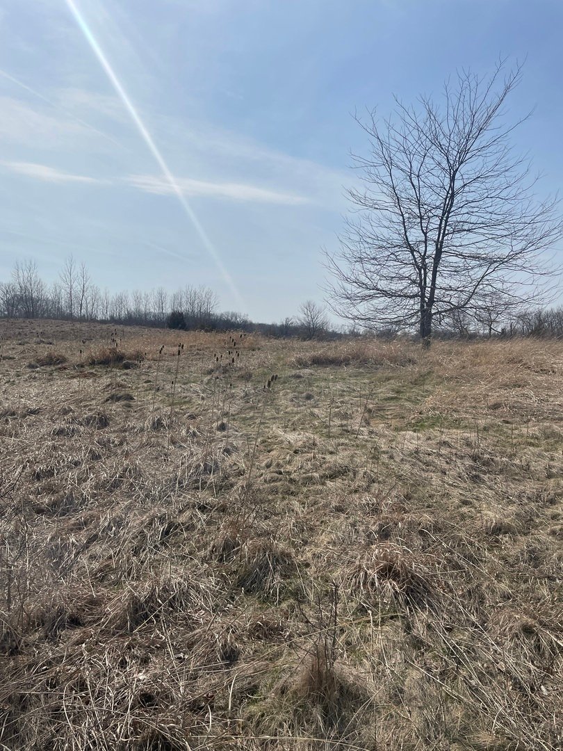 Land in Lindenhurst, Illinois, United States 2 - 17496664