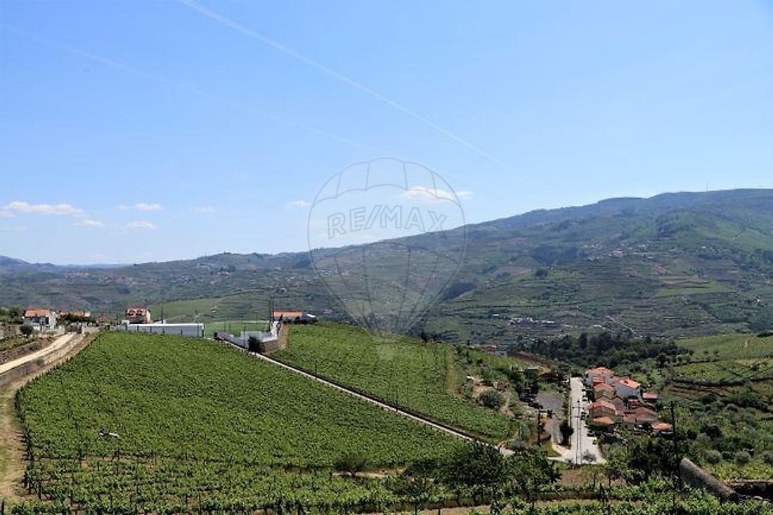 Finca in Fontelas, Vila Real District, Portugal 3 - 17494653