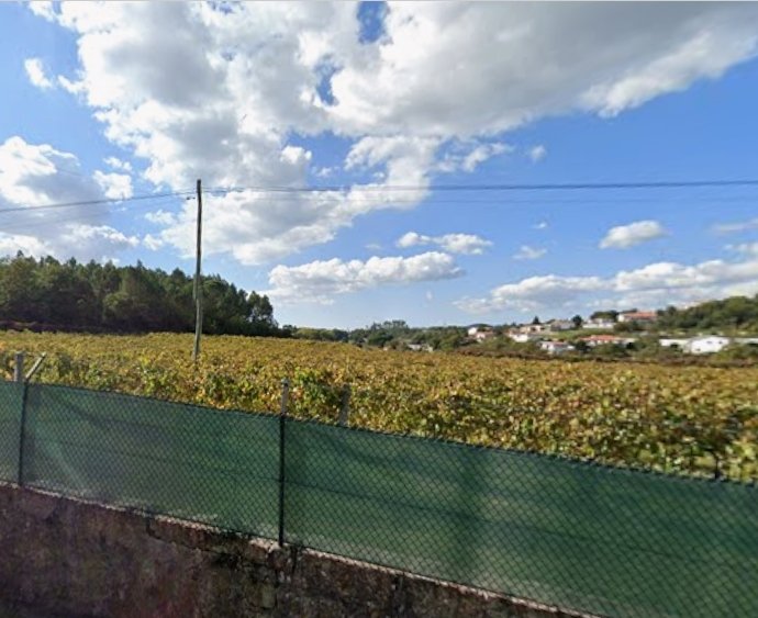 Farm Ranch in Avidos e Lagoa, Braga, Portugal 4 - 17495577