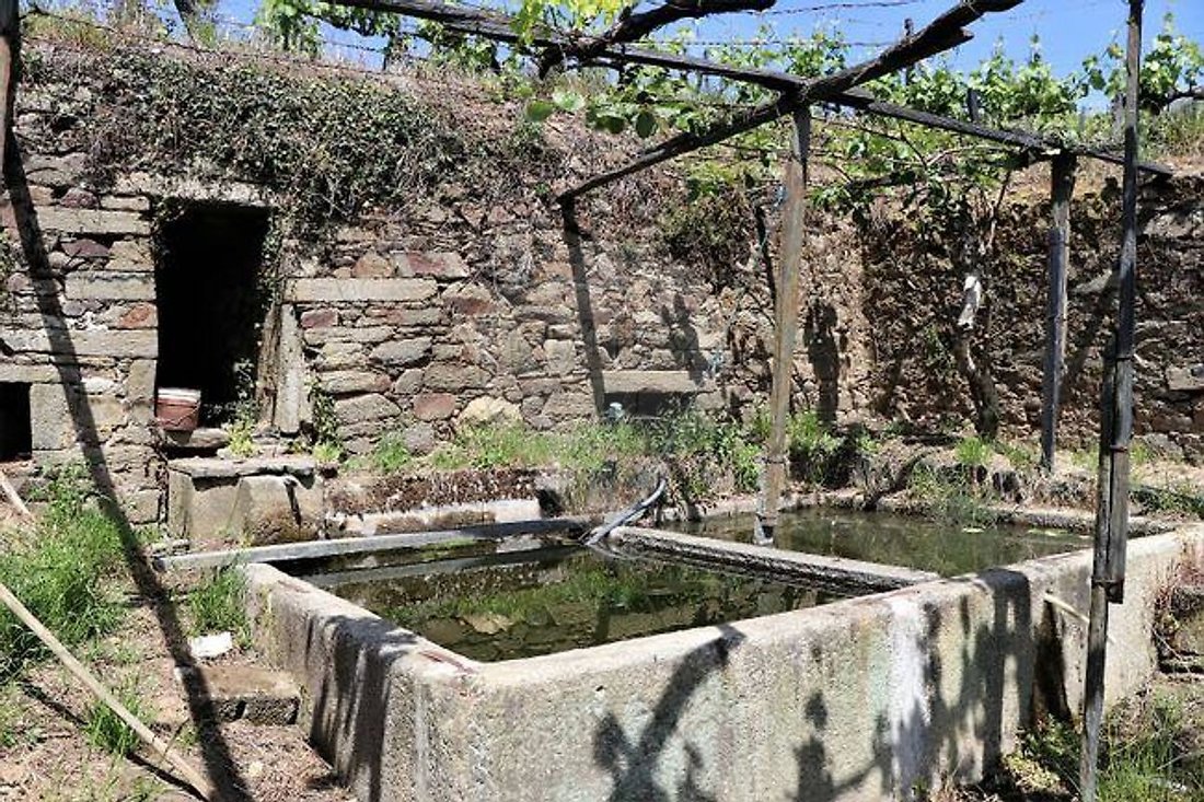 Finca in Fontelas, Vila Real District, Portugal 1 - 17494653