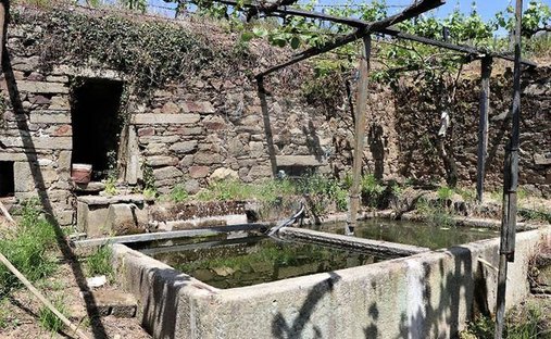 Finca a Fontelas, Distretto di Vila Real, Portogallo 1