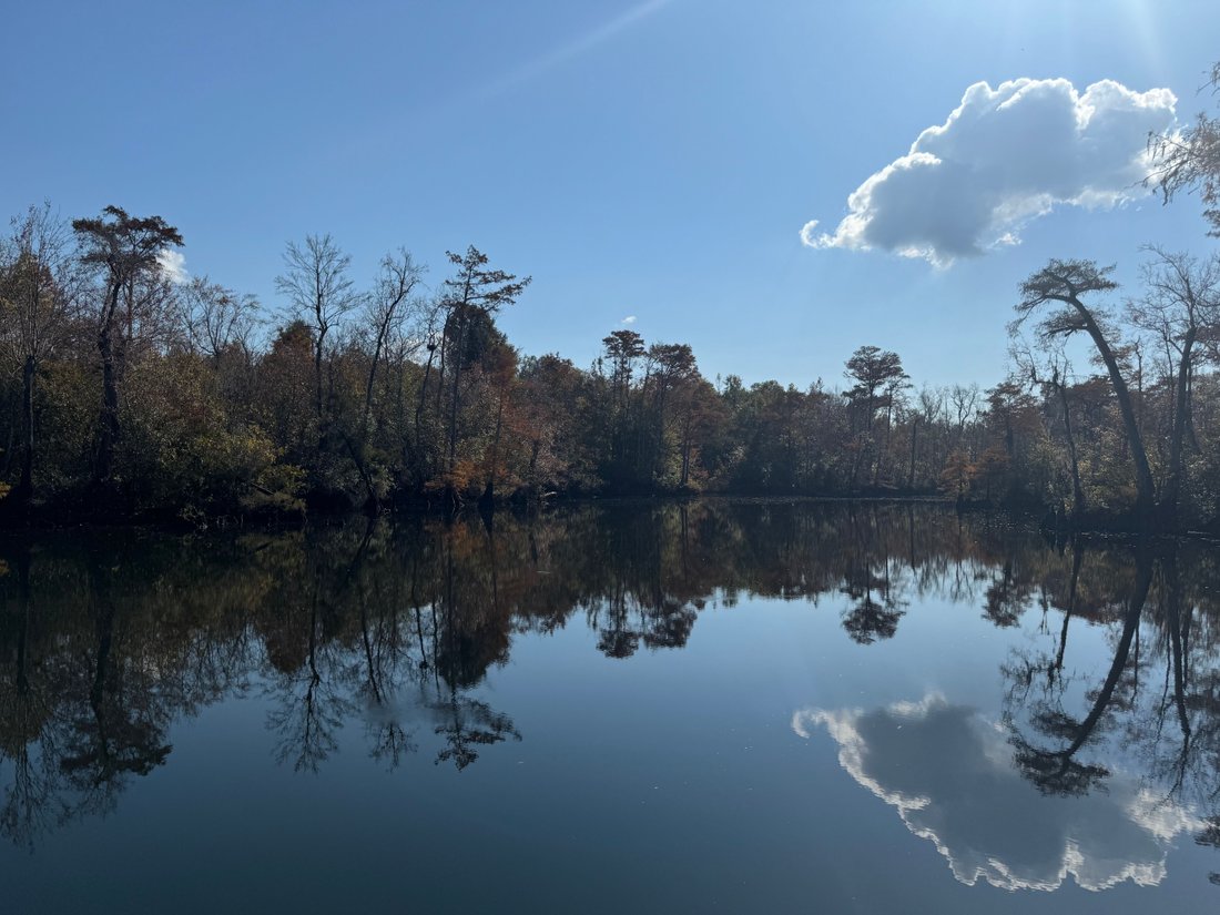Land in Cantonment, Florida, United States 4 - 17495187