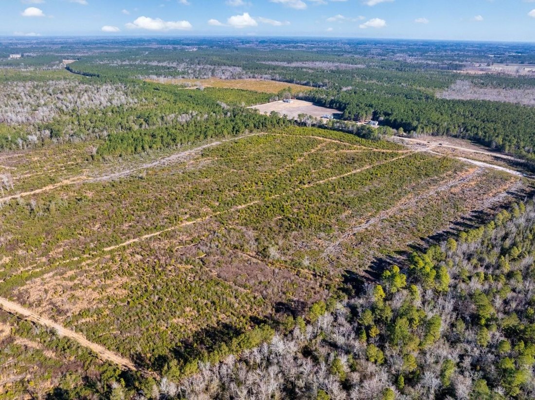 Land in Nichols, South Carolina, United States 3 - 17495443