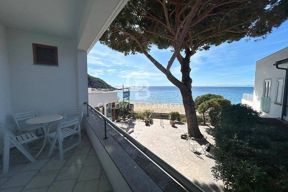 Marina di Campo, Tuscany, Italy 5 - 17498249